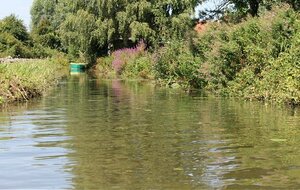 Rando des nénuphars 2026